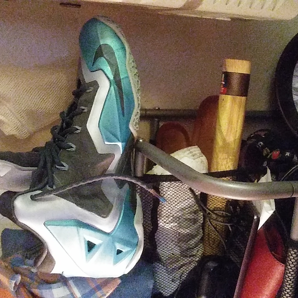 Lebron James Basketball Shoes